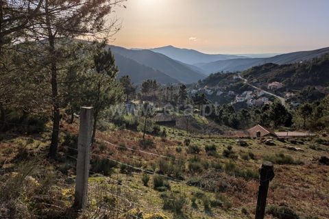 Terra a Seia, Guarda, Seia - € 62.000 | Ref: 382250012 - foto 7