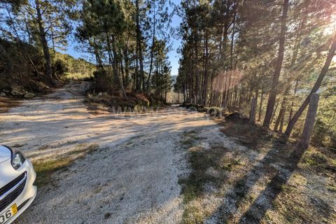 Terra a Seia, Guarda, Seia - € 62.000 | Ref: 382250012 - foto 8