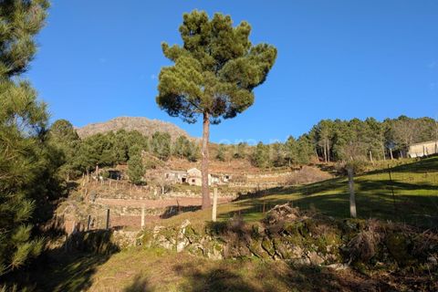 Terra a Seia, Guarda, Seia - € 62.000 | Ref: 382250012 - foto 9
