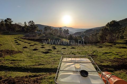 Terra a Seia, Guarda, Seia - € 62.000 | Ref: 382250012 - foto 10