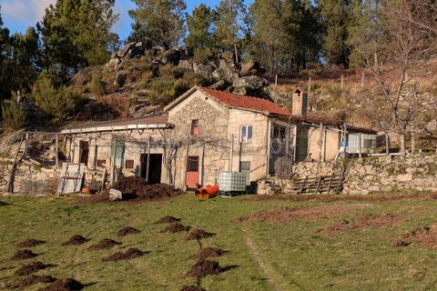 Terra a Seia, Guarda, Seia - € 62.000 | Ref: 382250012 - foto 11
