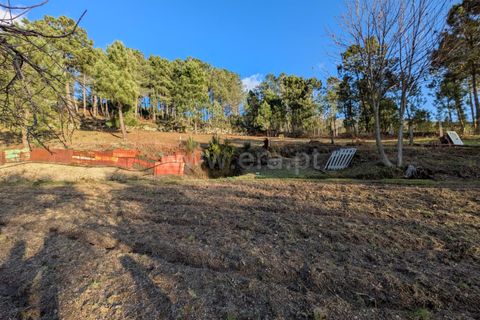 Terra a Seia, Guarda, Seia - € 62.000 | Ref: 382250012 - foto 12