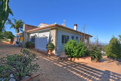 Villa i Alzira, Valencia, Alzira - € 650.000 | Ref: HHM-DEA-CSB4344 - foto 46