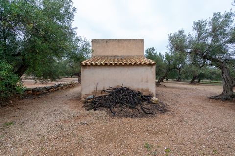 Finca i Roquetes, Tarragona, Roquetes - € 30.000 | Ref: 185 - foto 6