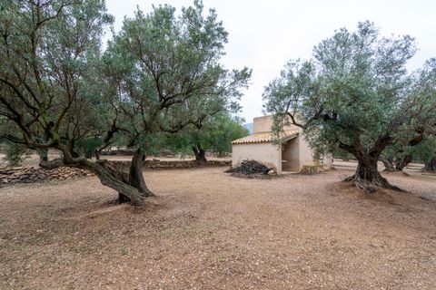 Finca i Roquetes, Tarragona, Roquetes - € 30.000 | Ref: 185 - foto 12