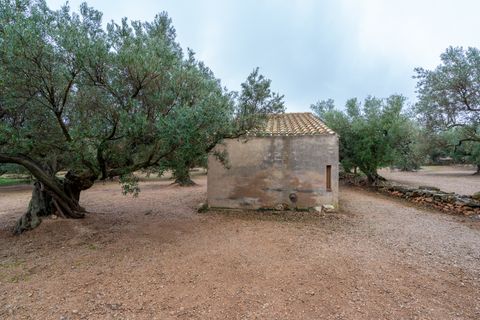Finca i Roquetes, Tarragona, Roquetes - € 30.000 | Ref: 185 - foto 7