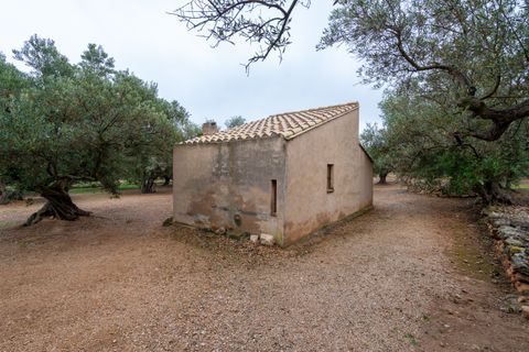 Finca i Roquetes, Tarragona, Roquetes - € 30.000 | Ref: 185 - foto 8