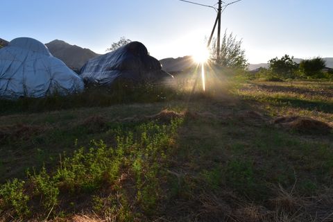 Villa a Teggiano, Salerno, Teggiano - € 250.000 | Ref: 1831162 - foto 19