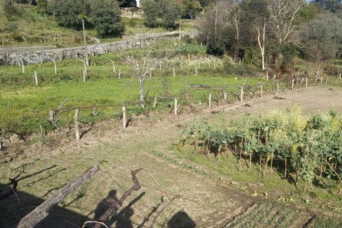Tomt i Ceivaes e Badim, Viana do Castelo, Ceivaes e Badim - € 45 000 | Ref: SF-SAFTI:003192 - foto 2