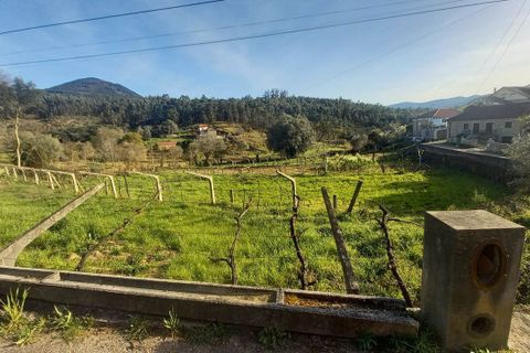 Tomt i Ceivaes e Badim, Viana do Castelo, Ceivaes e Badim - € 45 000 | Ref: SF-SAFTI:003192 - foto 4