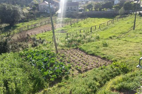 Tomt i Ceivaes e Badim, Viana do Castelo, Ceivaes e Badim - € 45 000 | Ref: SF-SAFTI:003192 - foto 5