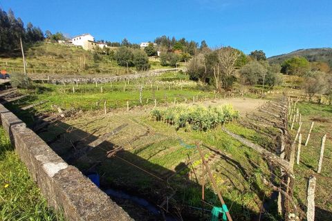 Tomt i Ceivaes e Badim, Viana do Castelo, Ceivaes e Badim - € 45 000 | Ref: SF-SAFTI:003192 - foto 7