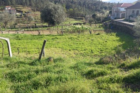 Tomt i Ceivaes e Badim, Viana do Castelo, Ceivaes e Badim - € 45 000 | Ref: SF-SAFTI:003192 - foto 8