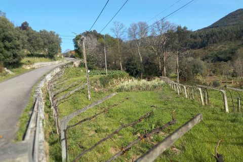 Tomt i Ceivaes e Badim, Viana do Castelo, Ceivaes e Badim - € 45 000 | Ref: SF-SAFTI:003192 - foto 10