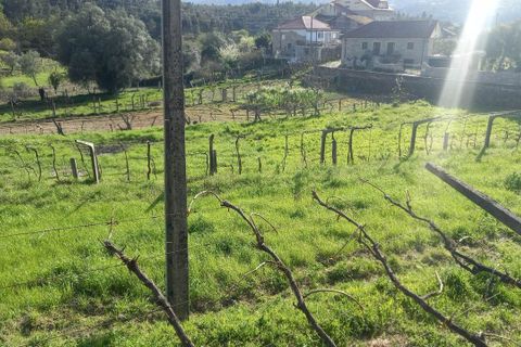 Tomt i Ceivaes e Badim, Viana do Castelo, Ceivaes e Badim - € 45 000 | Ref: SF-SAFTI:003192 - foto 11