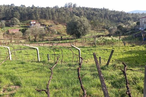 Tomt i Ceivaes e Badim, Viana do Castelo, Ceivaes e Badim - € 45 000 | Ref: SF-SAFTI:003192 - foto 13