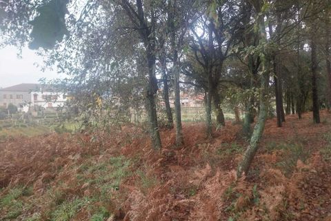 Tomt i Ceivaes e Badim, Viana do Castelo, Ceivaes e Badim - € 95 000 | Ref: SF-SAFTI:004246 - foto 3