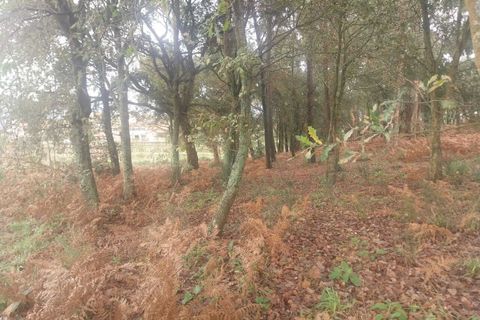 Tomt i Ceivaes e Badim, Viana do Castelo, Ceivaes e Badim - € 95 000 | Ref: SF-SAFTI:004246 - foto 4
