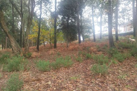 Tomt i Ceivaes e Badim, Viana do Castelo, Ceivaes e Badim - € 95 000 | Ref: SF-SAFTI:004246 - foto 5