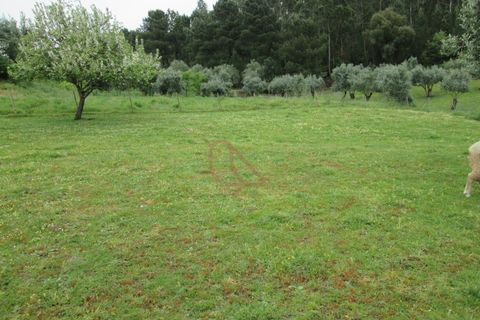 Helårsgrund i Ourem, Santarem, Ourem - € 48.900 | Ref: CV11010-7 - foto 4