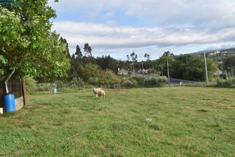 Helårsgrund i Ourem, Santarem, Ourem - € 48.900 | Ref: CV11010-7 - foto 5