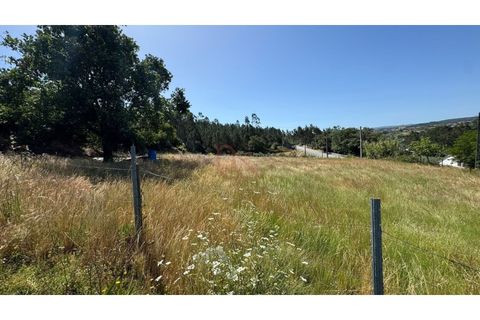 Helårsgrund i Ourem, Santarem, Ourem - € 48.900 | Ref: CV11010-7 - foto 11