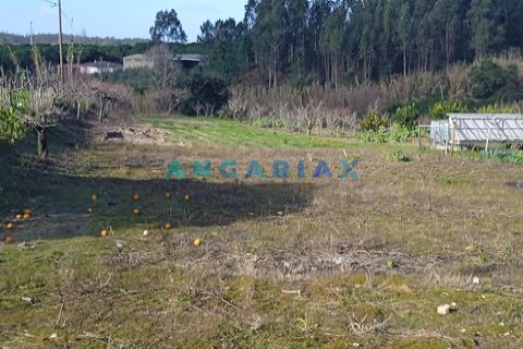 Helårsgrund i Leiria, Leiria, Leiria - € 100.000 | Ref: ANG1343 - foto 2