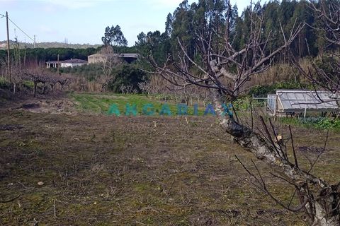 Helårsgrund i Leiria, Leiria, Leiria - € 100.000 | Ref: ANG1343 - foto 4