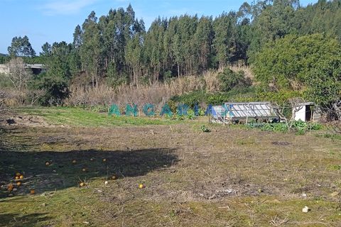 Helårsgrund i Leiria, Leiria, Leiria - € 100.000 | Ref: ANG1343 - foto 1