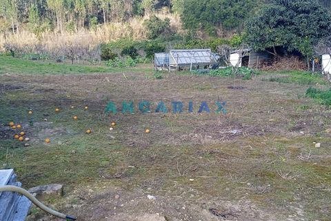 Helårsgrund i Leiria, Leiria, Leiria - € 100.000 | Ref: ANG1343 - foto 3