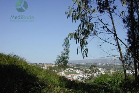 Helårsgrund i Alcobaca, Leiria, Alcobaca - € 200.000 | Ref: MR -172019 - foto 2