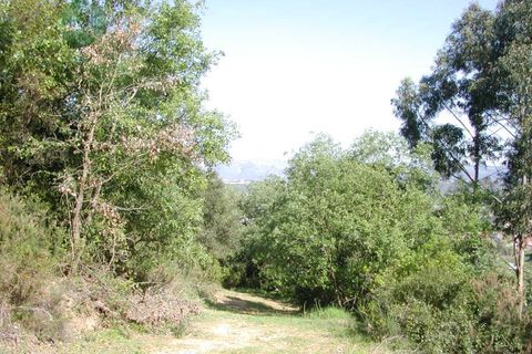 Helårsgrund i Alcobaca, Leiria, Alcobaca - € 200.000 | Ref: MR -172019 - foto 4