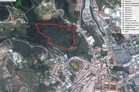 Helårsgrund i Alcobaca, Leiria, Alcobaca - € 200.000 | Ref: MR -172019 - foto 7
