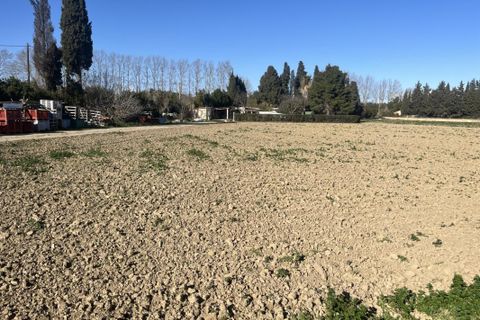 Tomt i Elna, Pyrenees-Orientales, Elna - € 720 000 | Ref: M2247 - foto 4