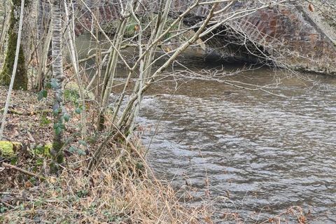 Terra a Paulinet, Tarn, Paulinet - € 16.000 | Ref: 85645731 - foto 3