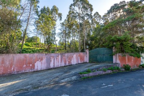 Helårsgrund i Sintra, Lisbon, Sintra - € 750.000 | Ref: DH668 - foto 1