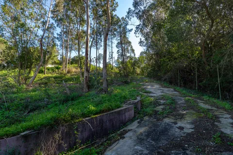Helårsgrund i Sintra, Lisbon, Sintra - € 750.000 | Ref: DH668 - foto 8