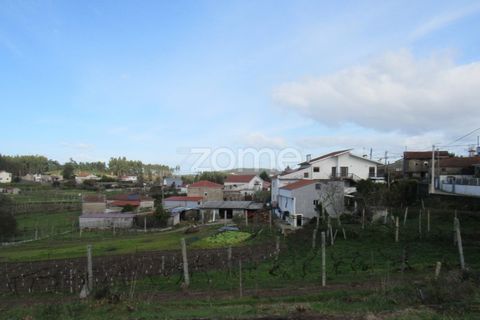 Villa i Penafiel, Porto, Penafiel - € 47.500 | Ref: ZMPT573855 - foto 15