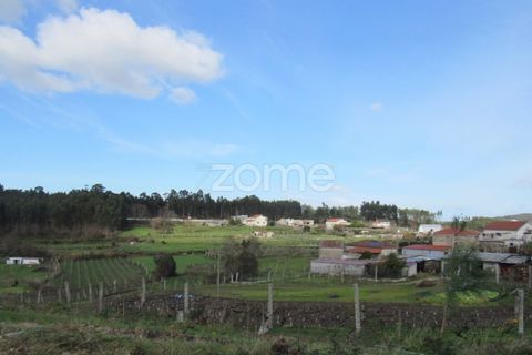 Villa i Penafiel, Porto, Penafiel - € 47.500 | Ref: ZMPT573855 - foto 21