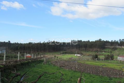 Villa i Penafiel, Porto, Penafiel - € 47.500 | Ref: ZMPT573855 - foto 17
