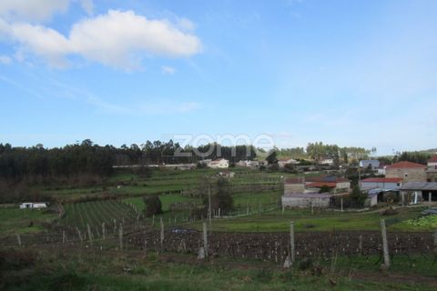 Villa i Penafiel, Porto, Penafiel - € 47.500 | Ref: ZMPT573855 - foto 31