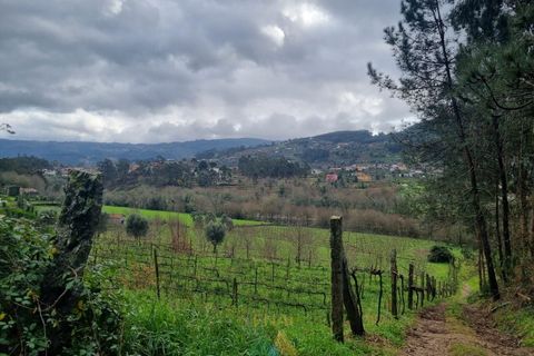 Helårsgrund i Ponte de Lima, Viana do Castelo, Ponte de Lima - € 50.000 | Ref: PTL-001-095 - foto 2