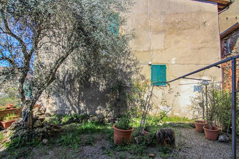 Villa a Piegaro, Perugia, Piegaro - € 120.000 | Ref: PE5194M-183250 - foto 24