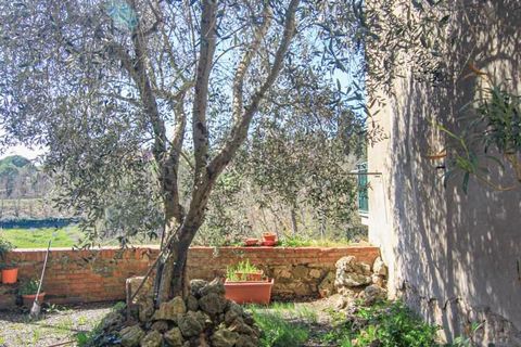Villa a Piegaro, Perugia, Piegaro - € 120.000 | Ref: PE5194M-183250 - foto 28