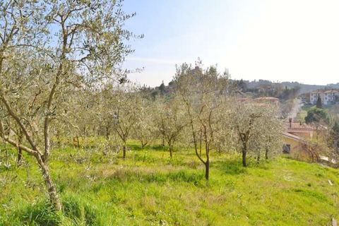 Villa i Fabro, Terni, Fabro - € 229.000 | Ref: OR829M-211688 - foto 14