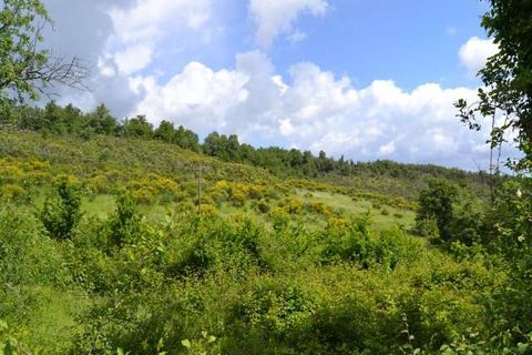 Villa a Allerona, Terni, Allerona - € 160.000 | Ref: OR604M-211739 - foto 10