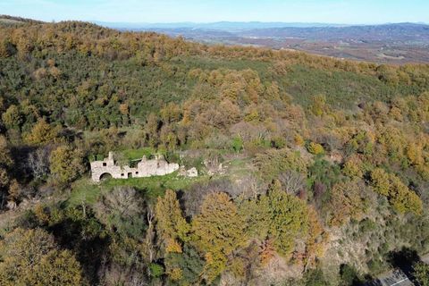 Villa a Allerona, Terni, Allerona - € 160.000 | Ref: OR604M-211739 - foto 11