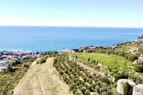 Villa i Ospedaletti, Imperia, Ospedaletti - € 480.000 | Ref: T212-225050 - foto 1