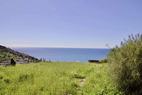 Villa i Ospedaletti, Imperia, Ospedaletti - € 480.000 | Ref: T212-225050 - foto 9