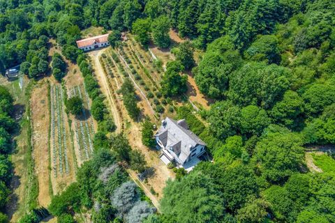 Villa a Arona, Novara, Arona - € 1.980.000 | Ref: T915-250650 - foto 3